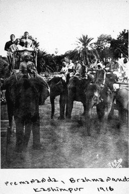 Riding on elephants