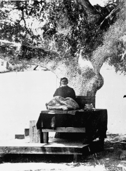 Cross-legged, under tree